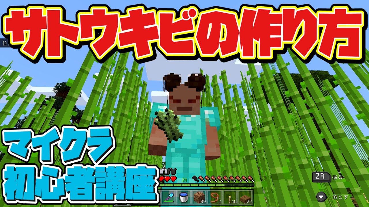 マイクラ初心者講座】サトウキビ畑の作り方と紙の作り方！序盤から積極的に増やしていこう！【マインクラフト/Minecraft/スイッチ/統合版/BE/PE/スマホ/PS4】  - YouTube