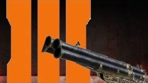 Bo3 Zombies:Wanted Map and WHERE