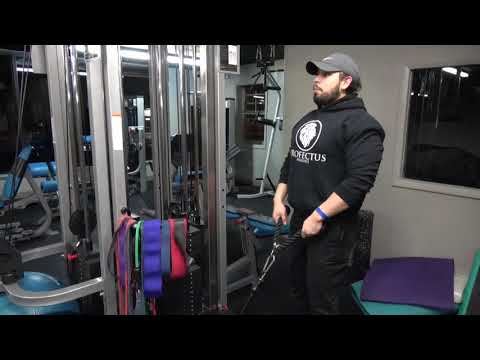 Cable Upright Row (Rope)