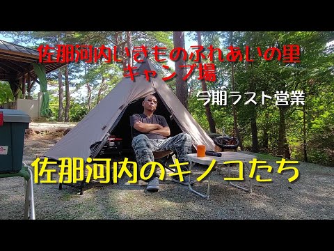 佐那河内いきものふれあいの里キャンプ場【今期ラスト営業】佐那河内のキノコたち