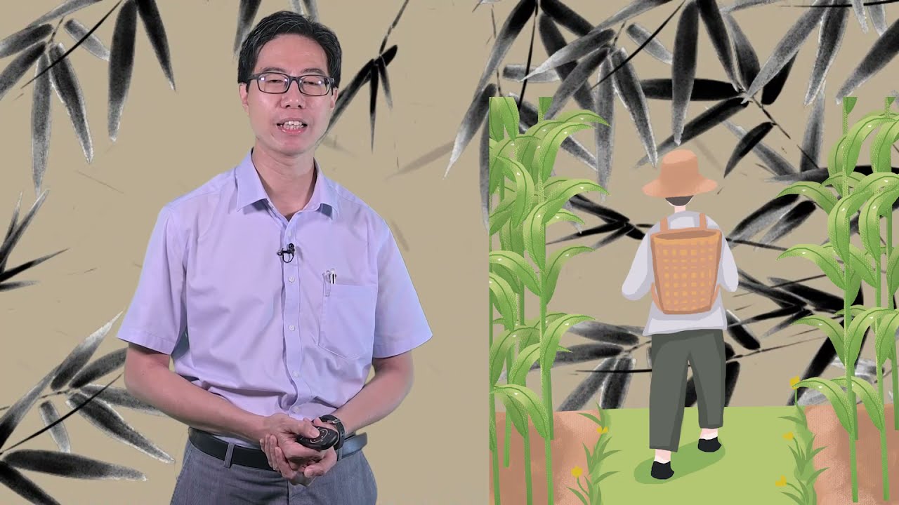 赖俊豪传道｜仰賴恩主 (13)