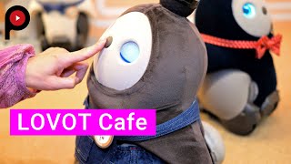 【LOVOTとふれあえるカフェ】LOVOT Cafe | Much love & Much kawaii