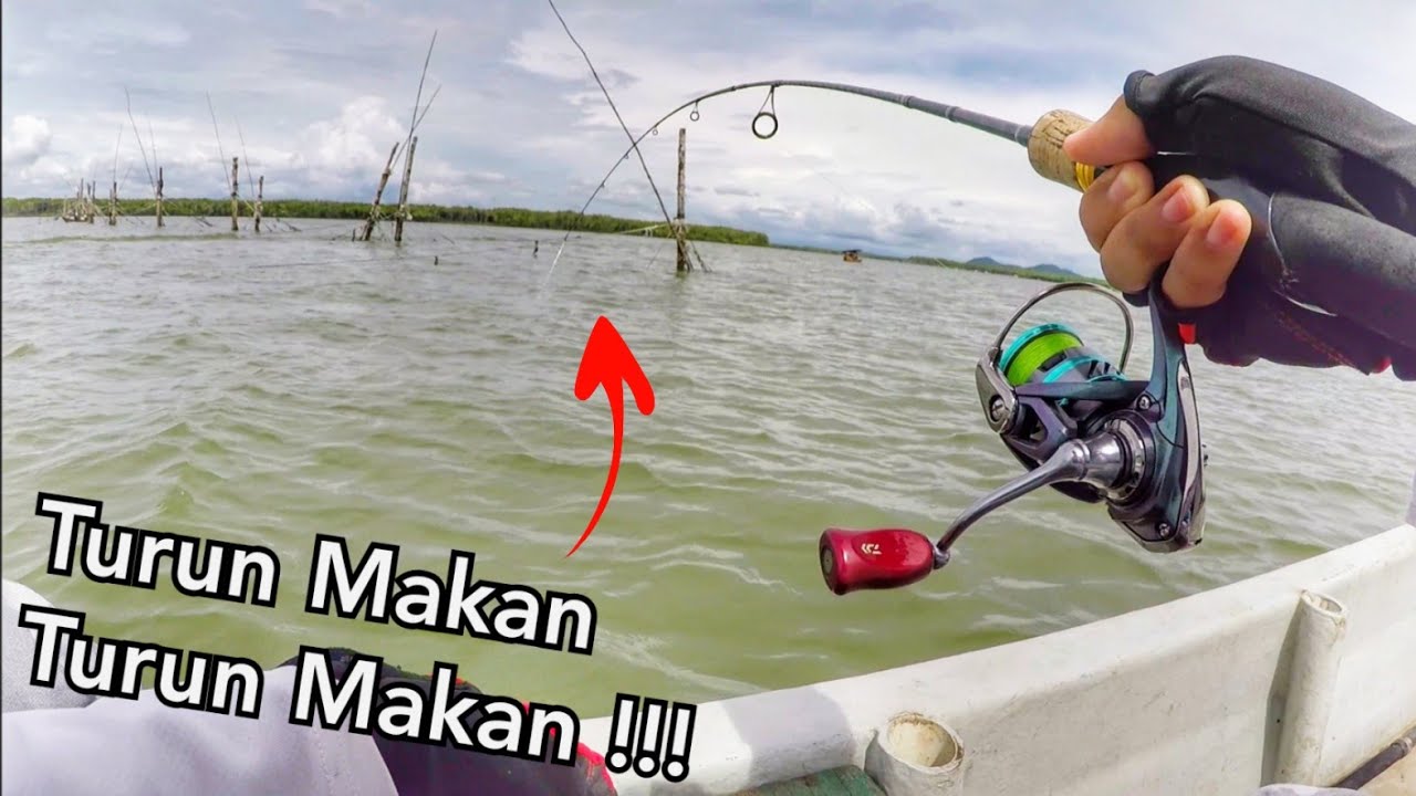 Ikan Gelama GALAK Makan ULTRALIGHT JIG YouTube