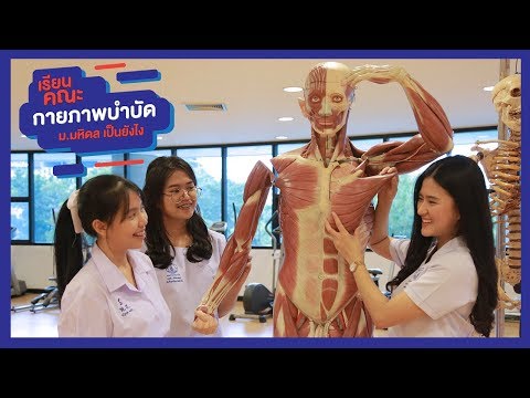 เรียนคณะกายภาพบำบัด ม.มหิดล เป็นยังไง ตอนที่ 1 [By We Mahidol] - Youtube