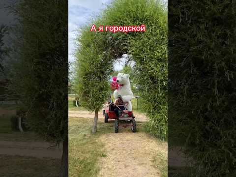 Городской краш бойфренд vs гр.Дрозды «Вясковы лавелас»
