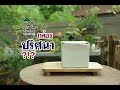 Gu Bonsai Workshop :กล่องปริศนา