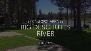 Upper Deschutes River  May 2024