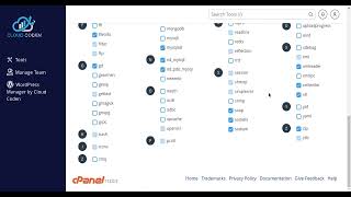 شرح استضافة المشتركة Cpanel