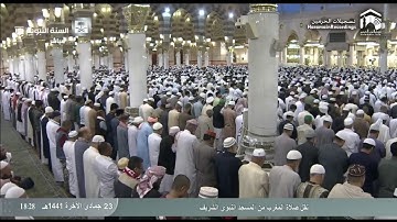 صلاة المغرب من المسجد النبوي ٢٣ جمادى الآخرة ١٤٤١هـ  للشيخ خالد المهنا | سورة فصلت ( ٣٠ - ٣٦ )