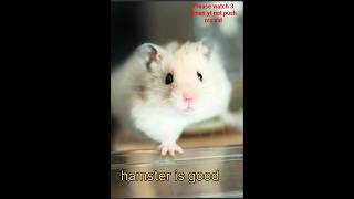 xhamster aura #funny #edit #edit #memes #music #music