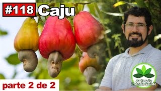 Autor da PrÃ³pria SaÃºde - Caju [diabetes, hipertensÃ£o, colesterol, gastrite, cÃ¢ncer, cicatrizante]