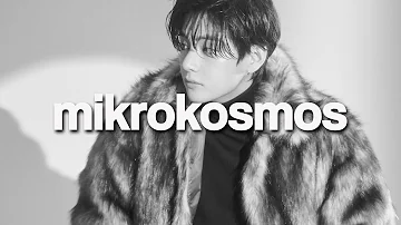 bts - mikrokosmos // slowed + reverb