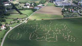 Zemljišče Pod Pekrsko Gorco
