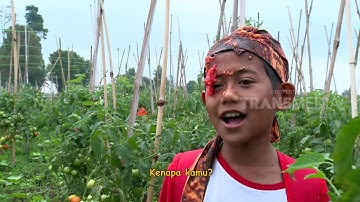 BOCAH PETUALANG | CERITA SAHABAT ALAM (13/09/18) 1-3