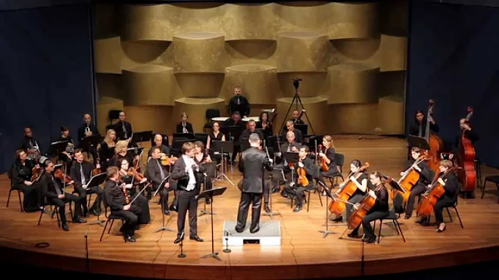Beethoven Flute Concerto Op. 61 (originally for th...