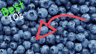 Top 10 Kinds Of BERRIES That EXIST @Best10s