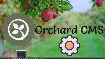 Creating Orchard Core Settings for a CMS Module