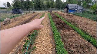 Managing My Mulched Idaho Garden