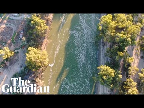 Drone footage shows millions of dead fish in river near Menindee