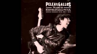 Video thumbnail of "Pelea de Gallos - Te Quise Tanto"