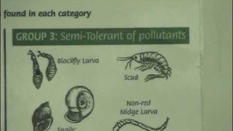 LimnoMovie: Water Health and Macroinvertebrates