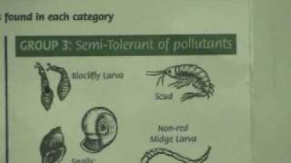 LimnoMovie: Water Health and Macroinvertebrates
