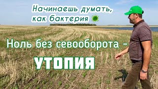 Ноль без обширного севооборота - утопия!