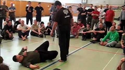 Vladimir Vasiliev demo with Systema Serbia guys