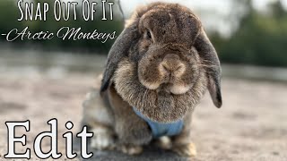 Snap Out Of It - Arctic Monkeys | Random Edit
