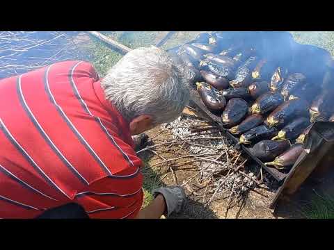 Video: Cum Se înmoaie Vinetele