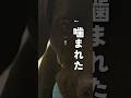 チビ助六、顔面噛まれ犬嫌いに…事件