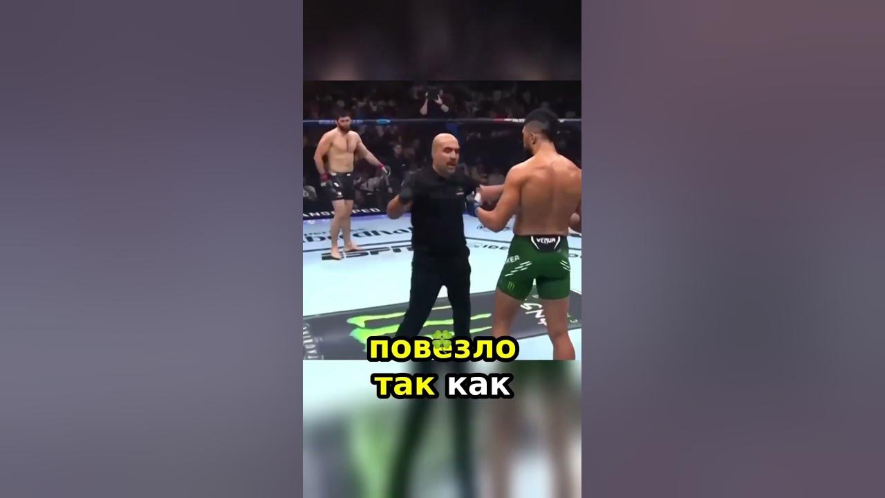 Литвин бой запрещен прием #рекомендации #литвин #литвинадель - YouTube