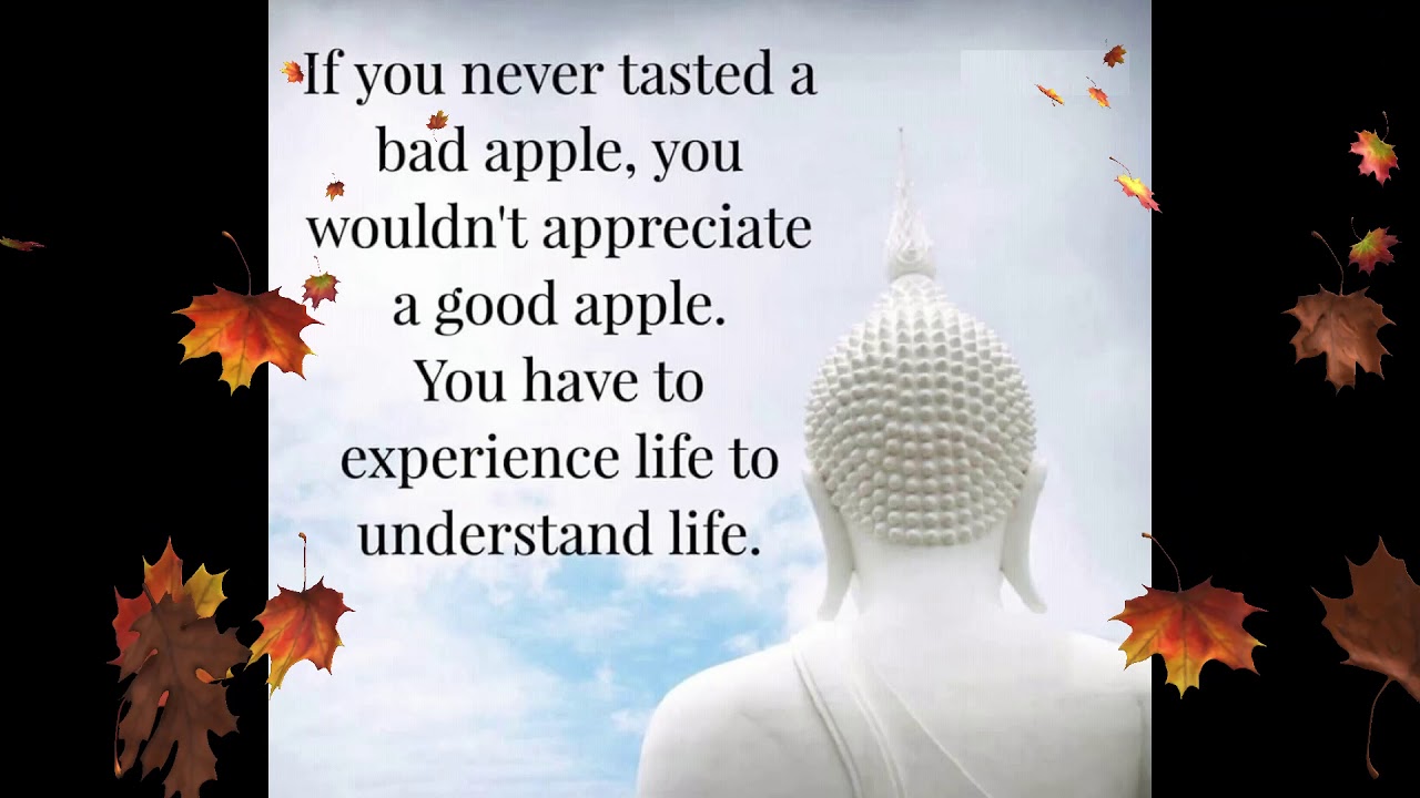 Buddha Quotes Life YouTube