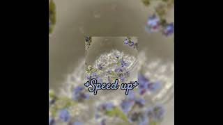 ТИМА БЕЛОРУССКИХ — НЕЗАБУДКА  [SPEED UP]~☆💙🎹#speedup