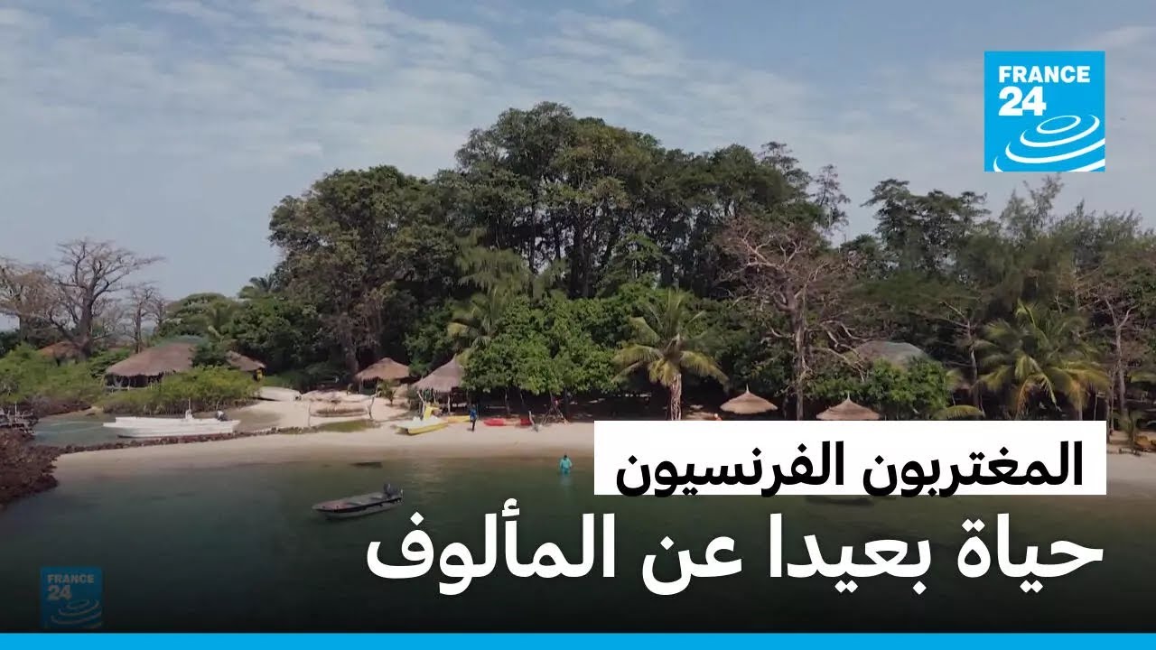 ��������� ���������: ���� ����� �� ������� � ����� 24
 - نشر قبل 6 دقيقة