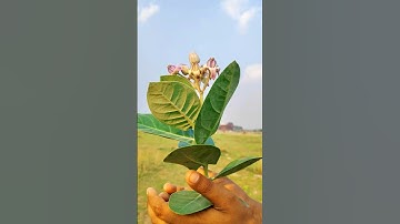 creative reverse videography #creative #videography #shorts #reverse #edit #photography