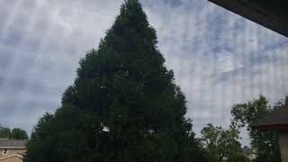 Mostly Cloudy Altocumulus & Light South Winds 5:17pm May 28, 2023