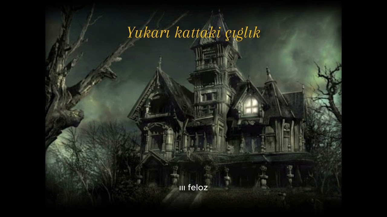 Polisiye Radyo Tiyatrosu | YUKARI KATTAKİ ÇIĞLIK