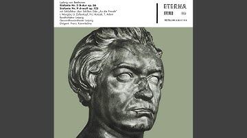 Symphony No. 2, Op. 36: II. Larghetto