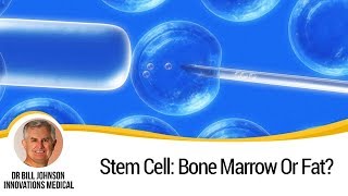 Information Stem Cells From Bone Marrow or Fat: Which Source Fits You News