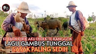 🥎KE TAOK DIRIK AKU ARIK ENDEK TE KANGGOK LAGU GAMBUS TUNGGAL SASAK PALING SEDIH