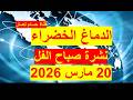 نشرة صباح الفل في 20 مارس 2026 مصر أمريكا روسيا الصين بريطانيا فرنسا البرازيل نشرة صباح الفل في 20 مارس 2026 مصر أمريكا روسيا الصين بريطانيا فرنسا البرازيل