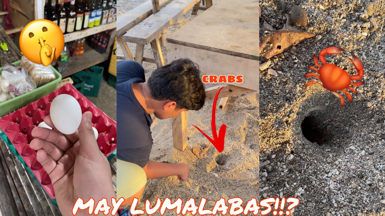 GRABE ANG GALING NITONG NAKITA KO SA TIKTOK PAG NILALAGYAN NG ITLOG MAY LUMALABAS!!?