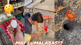 Grabe Ang Galing Nitong Nakita Ko Sa Tiktok Pag Nilalagyan Ng Itlog May Lumalabas?