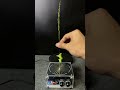 Tesla coil + fruit + plants