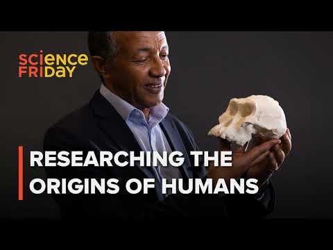 Telling the tale of human origins, one fossil tooth at a time