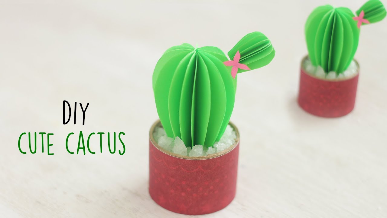 DIY Paper Cactus Kit, Set of 3 – Pretty Papel