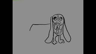 Basset hound Basset hound