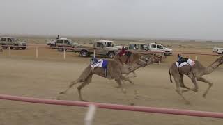 السبت ه الشوط الثاني صعوب قعدان مفاريد م