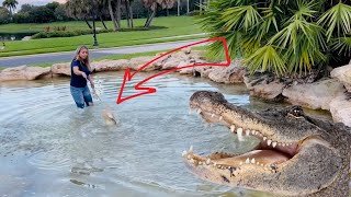 Alligator Living In Fountain Has To Go!!